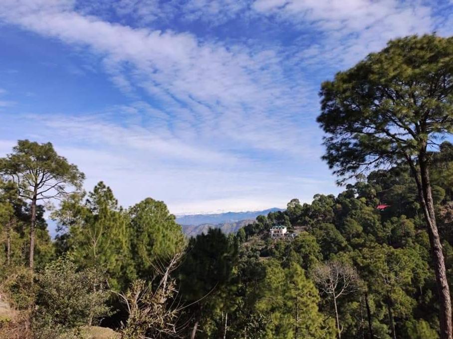The Asgard Kasauli Bed & Breakfast Exterior foto