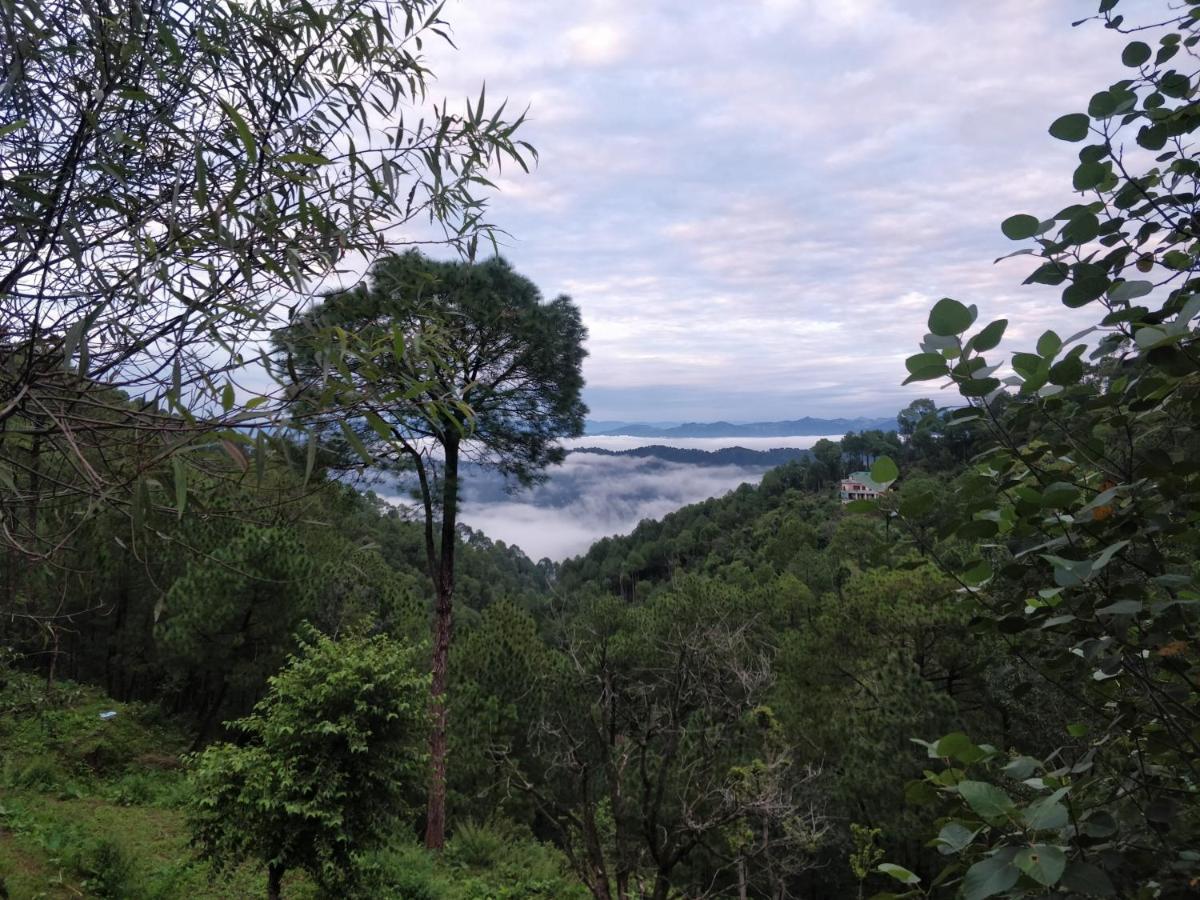 The Asgard Kasauli Bed & Breakfast Exterior foto