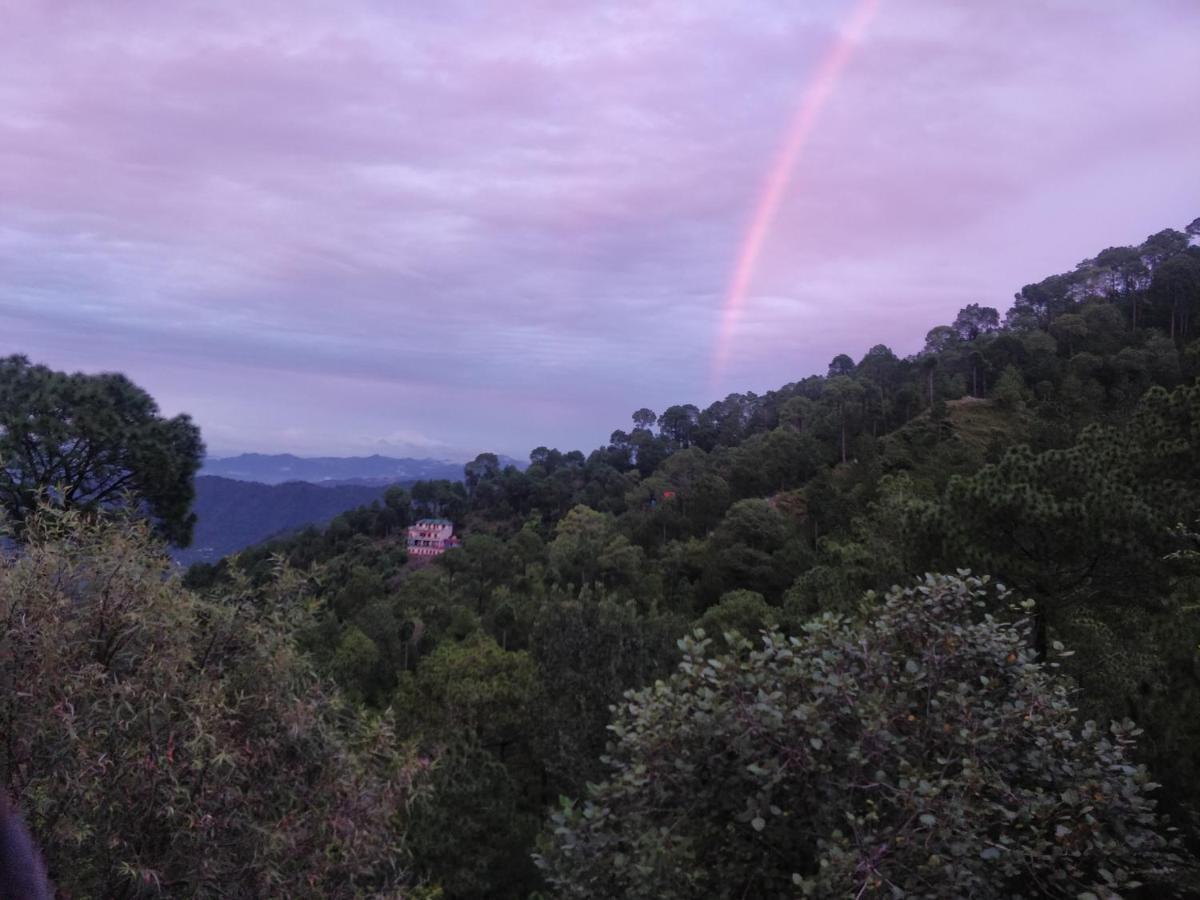 The Asgard Kasauli Bed & Breakfast Exterior foto